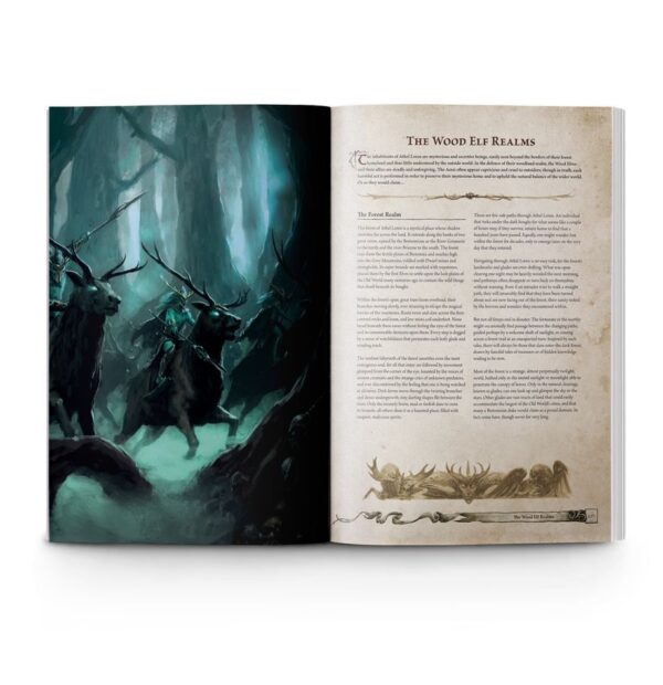 Warhammer: The Old World - Forces of Fantasy - Image 3